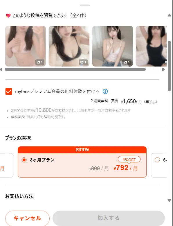 オプションプラン選択画面